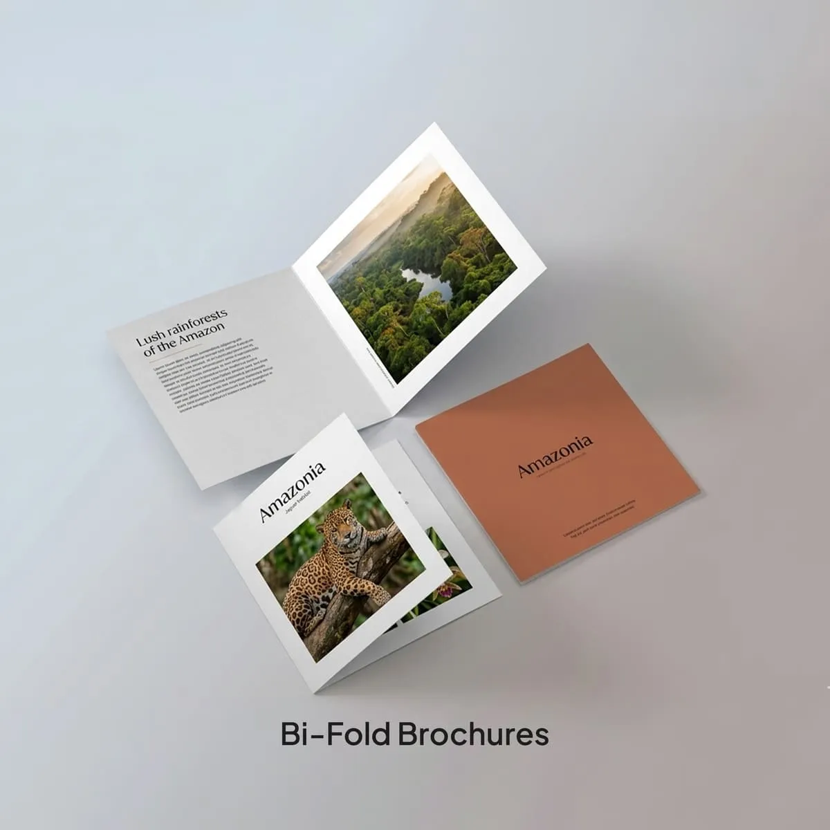 Brochures & Flyers - Image 5