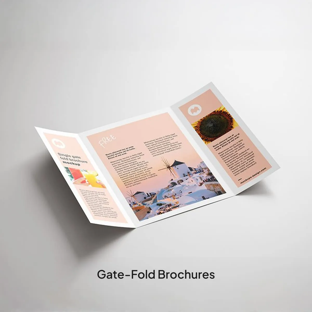 Brochures & Flyers - Image 7
