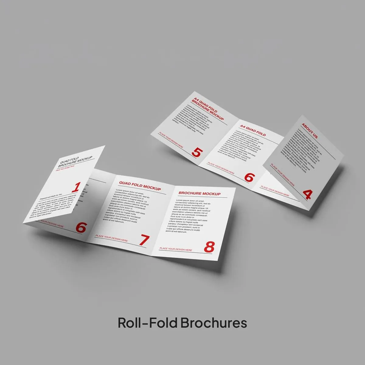 Brochures & Flyers - Image 3