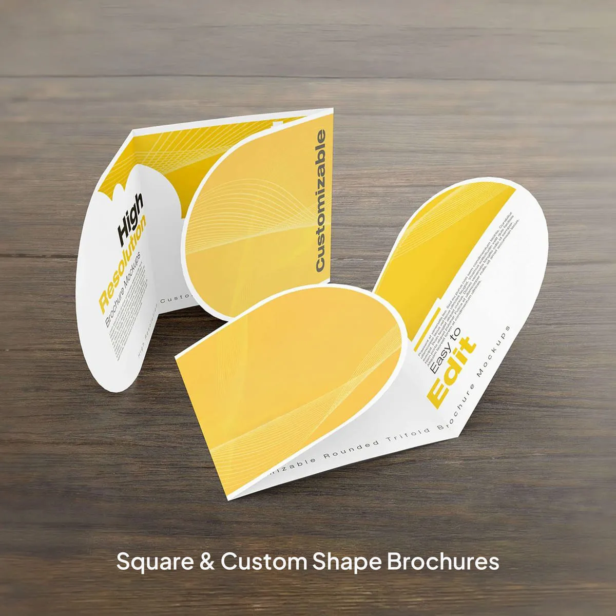 Brochures & Flyers - Image 4